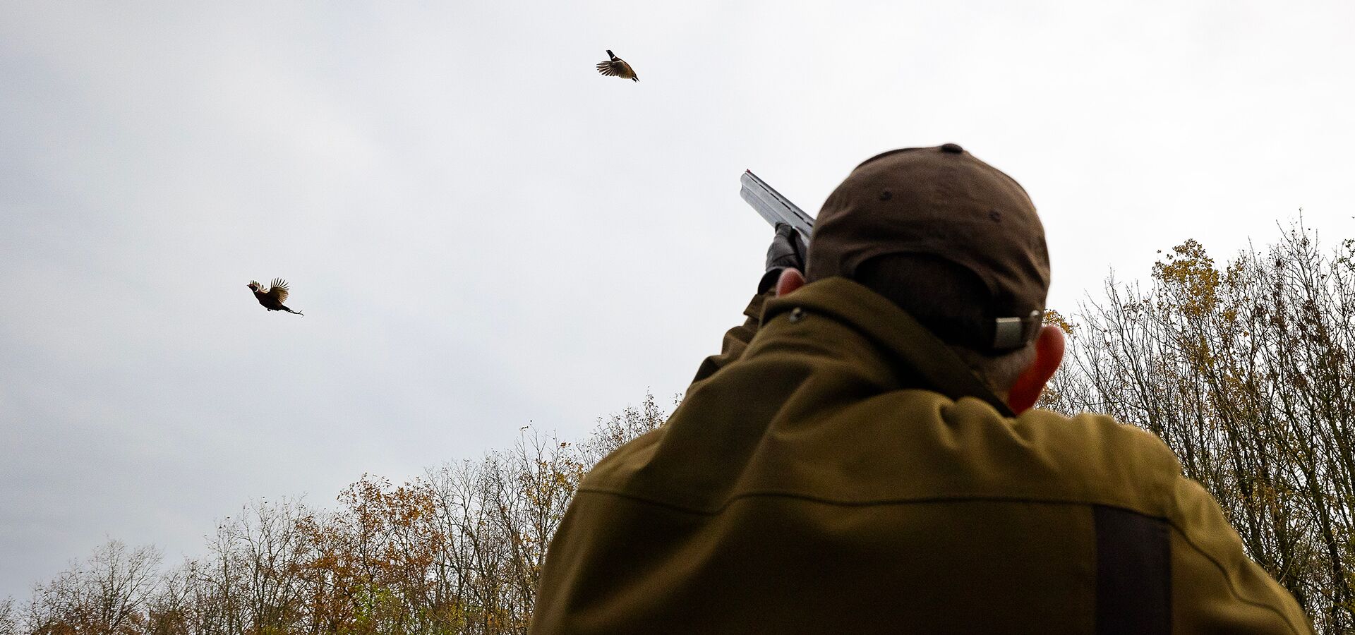 Exkluzív vadászatok Magyarországon