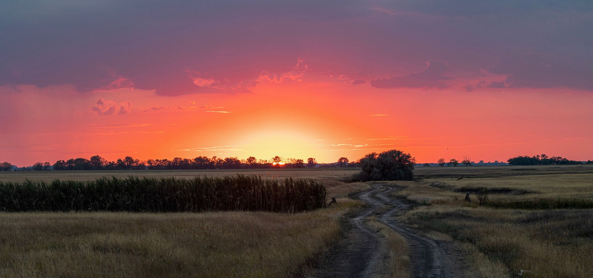 Exkluzív vadászatok Magyarországon